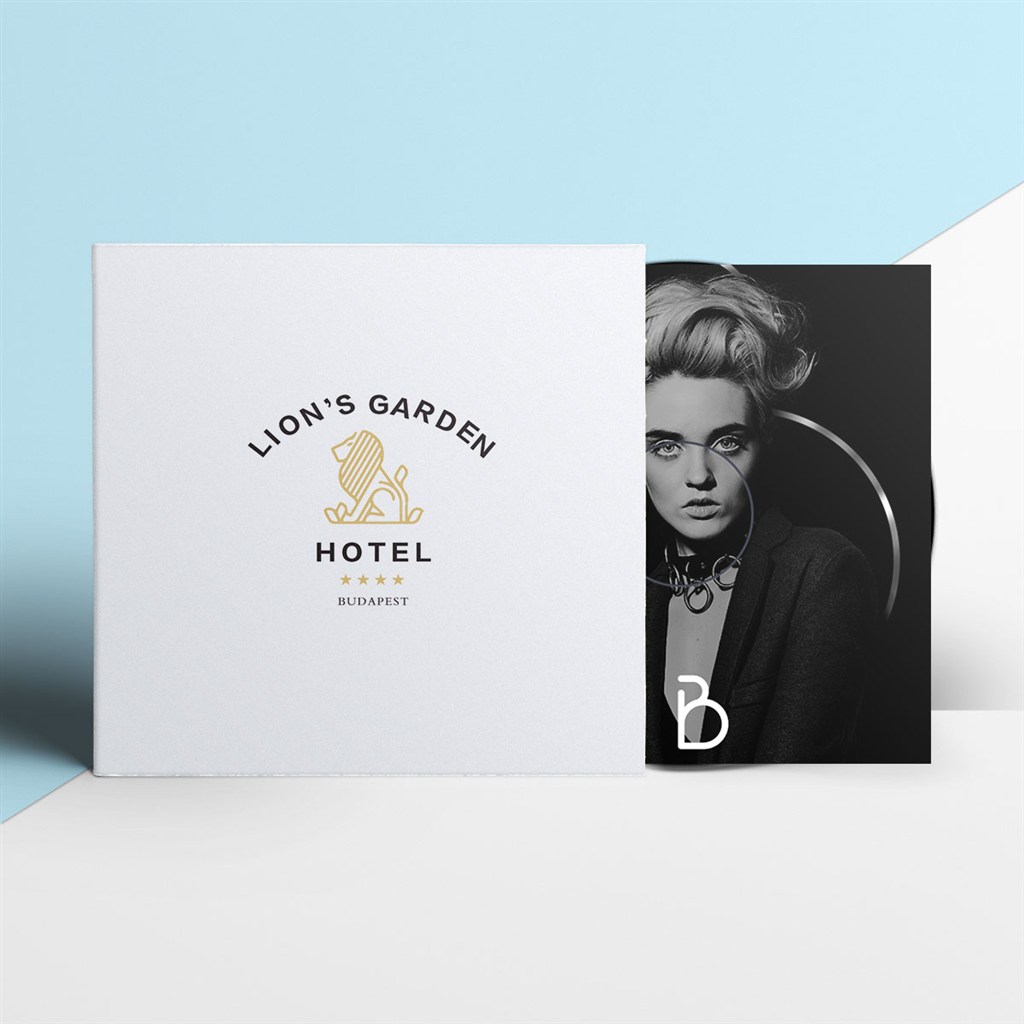 高档酒店品牌vi光碟包装样机模板