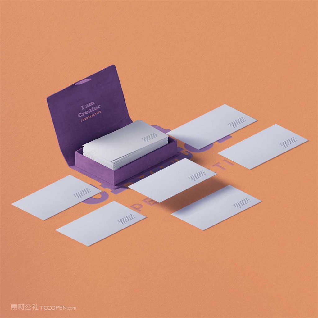 精美办公用品名片样机