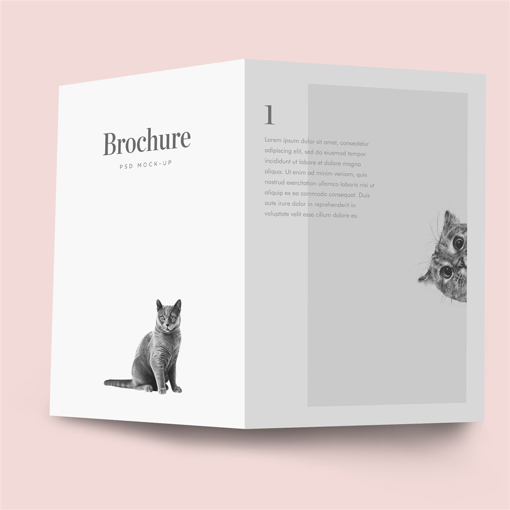 画册折页封面样机