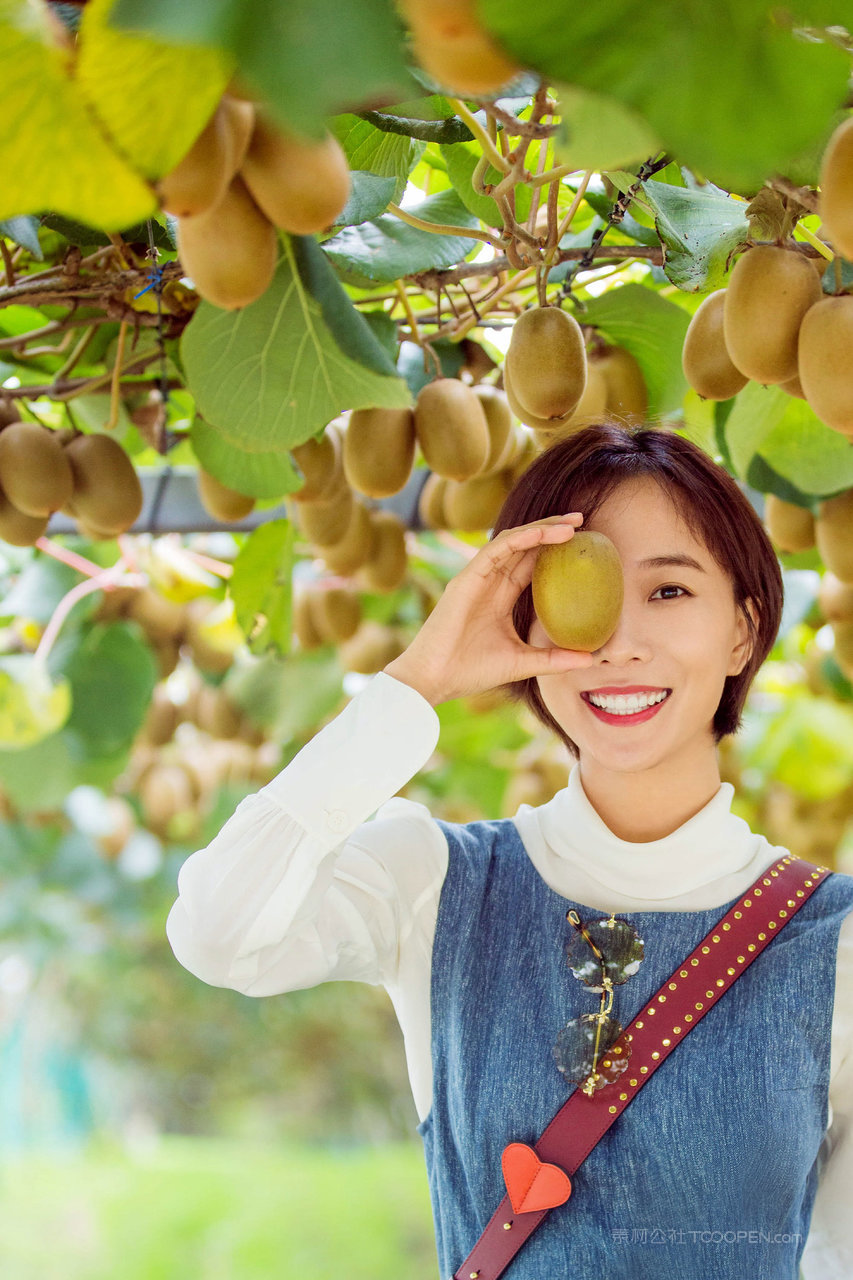 中国美女明星王珞丹果园里摘猕猴桃图片