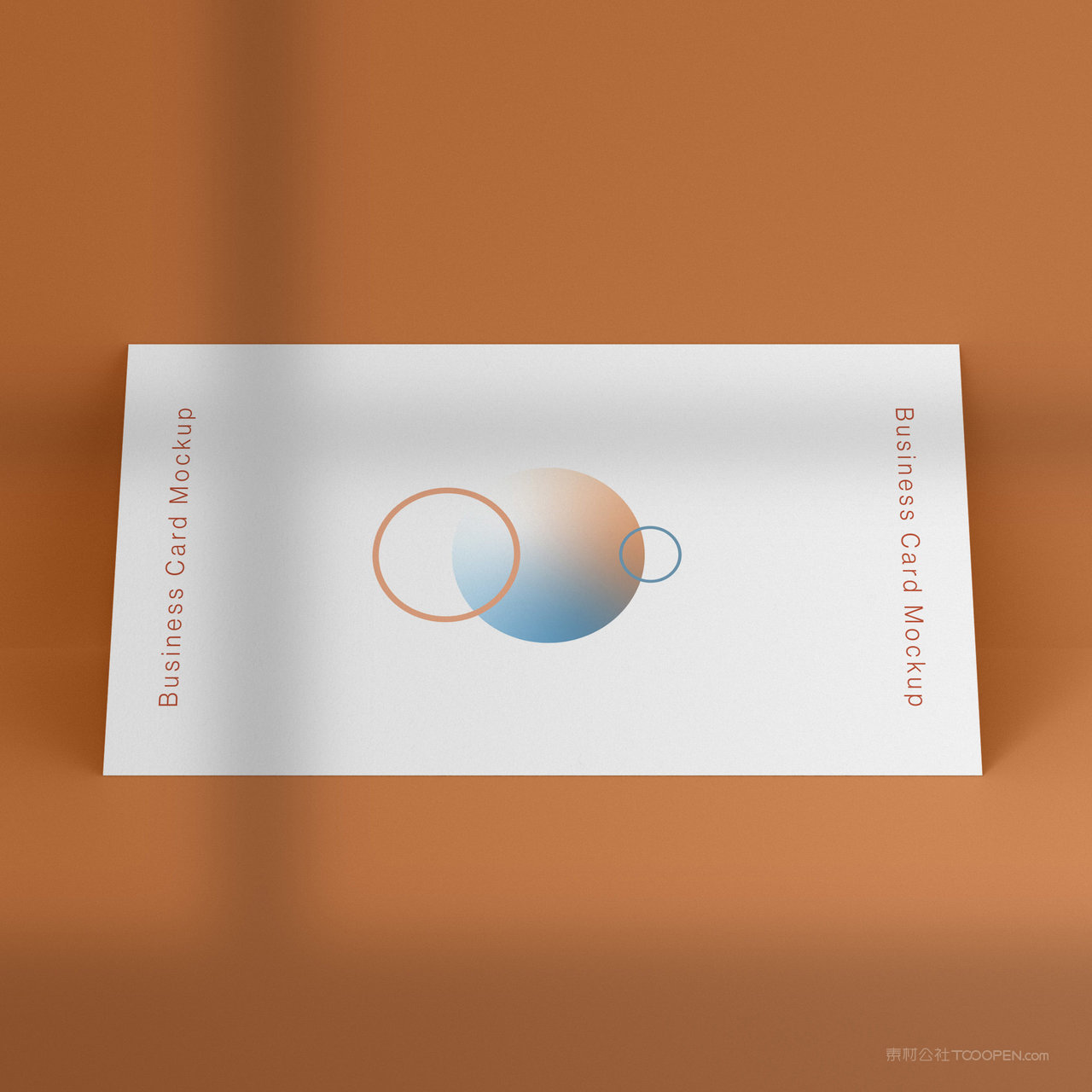 个性名片商务名片贴图样机