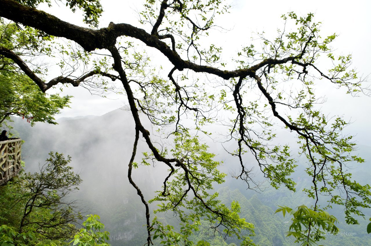 张家界天门山风光