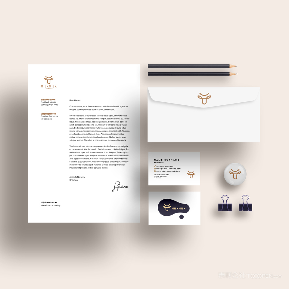 乳制品VI信封文档名片贴图样机