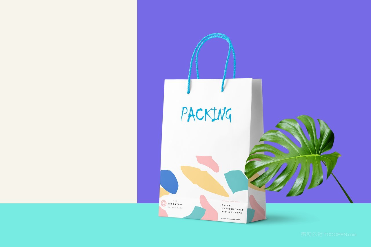 时尚产品纸盒包装礼品袋纸样机