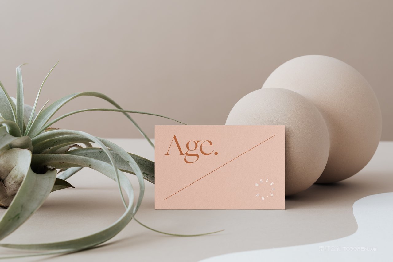 简约商务名片场景样机 (9)