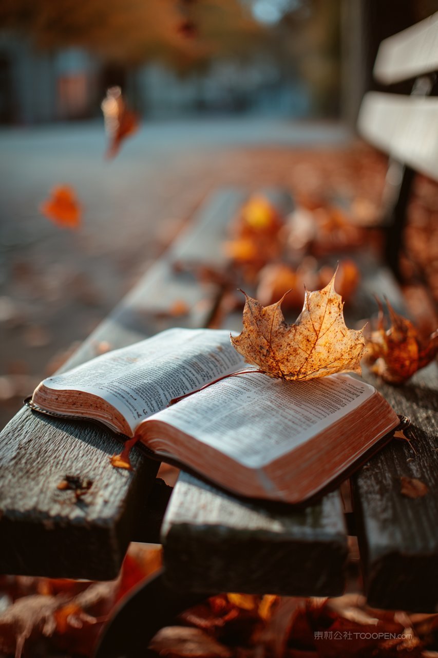 落叶秋季静谧阅读