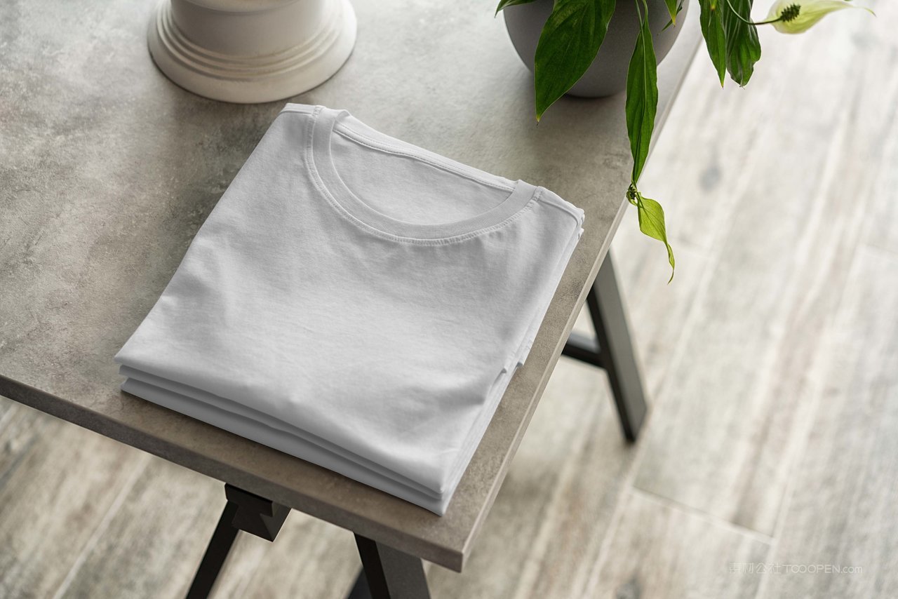 纯棉T恤衫样机