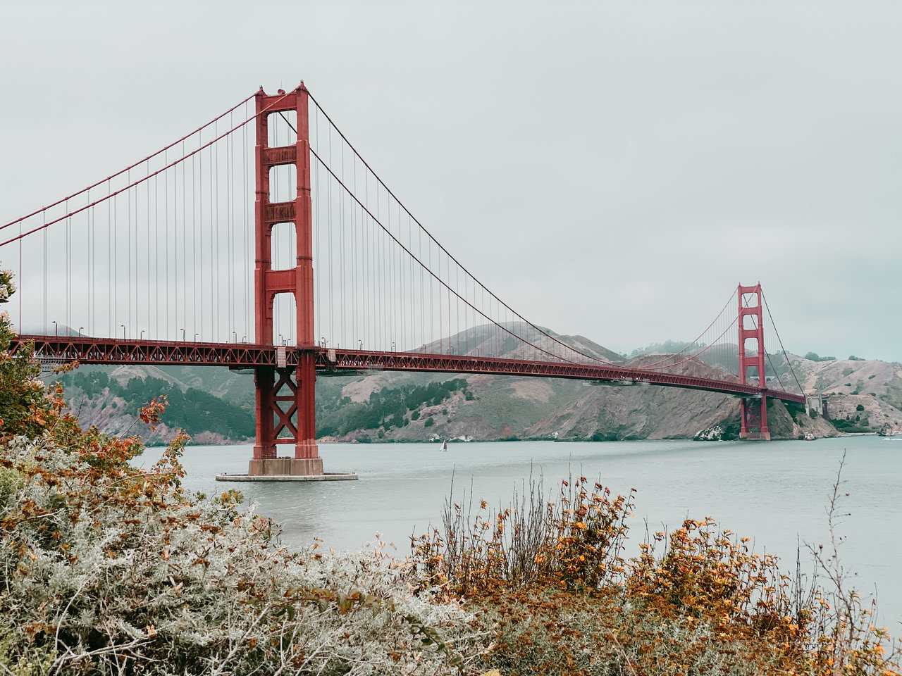 美国旧金山风景画图片 (228)