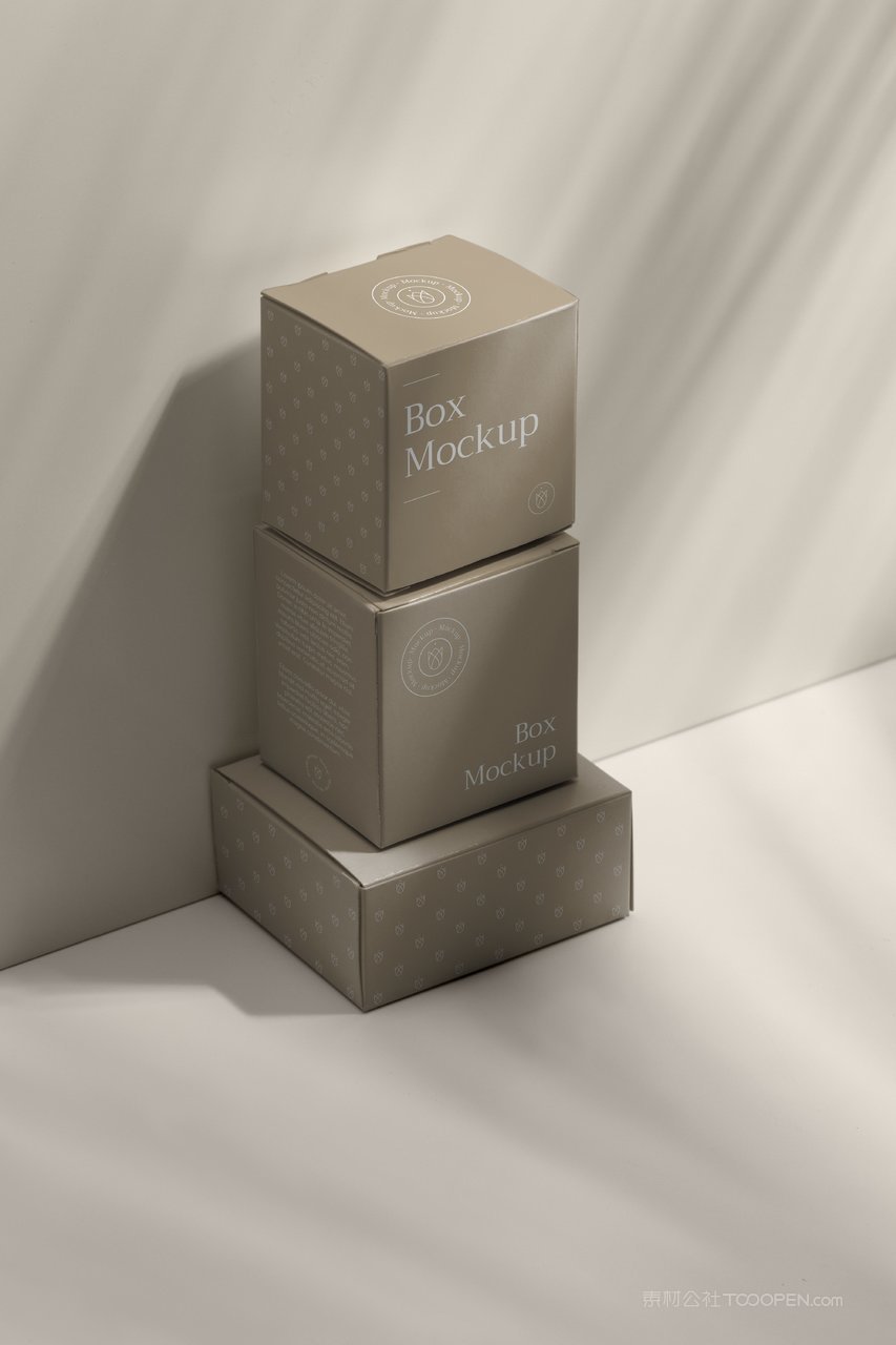 米色文艺光影精品纸盒纸箱样机 (6)