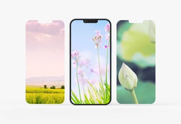 APP界面展示样机