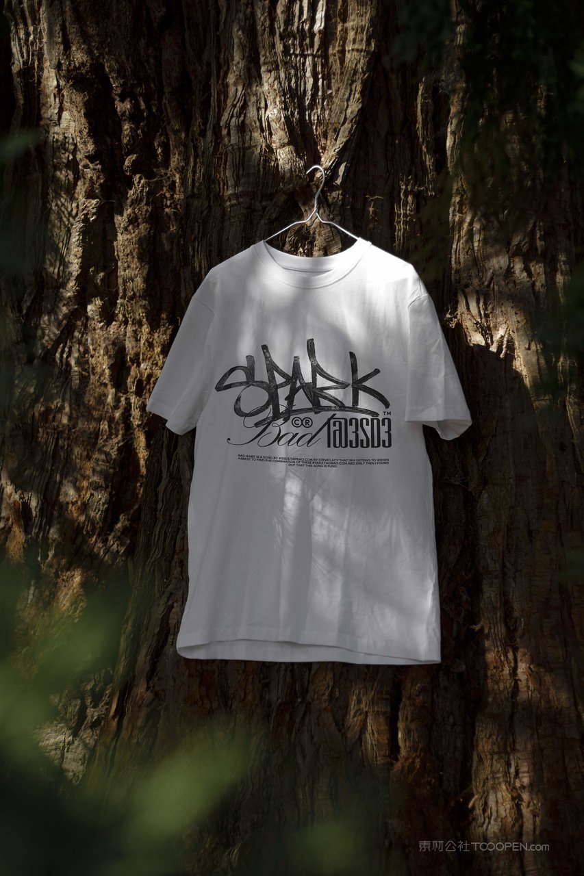 街头服装品牌vi模特卫衣t恤海报帽子海报吊牌ps贴图样机 (1)