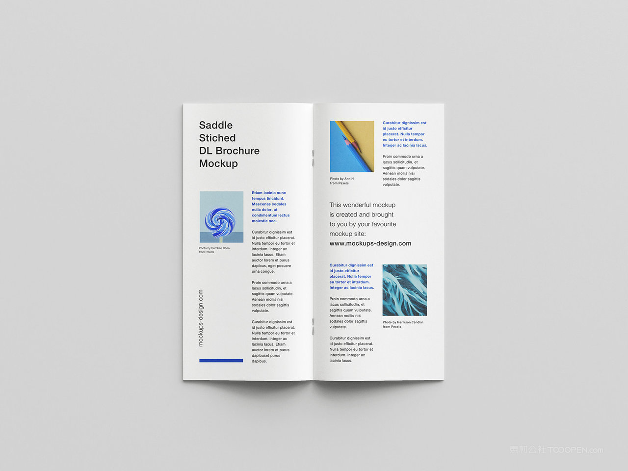 简约双折页内页样机效果图三