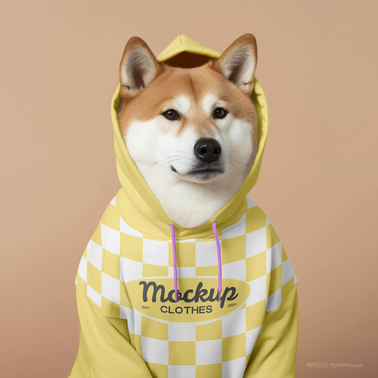 狗狗穿着卫衣效果图宠物服饰贴图样机