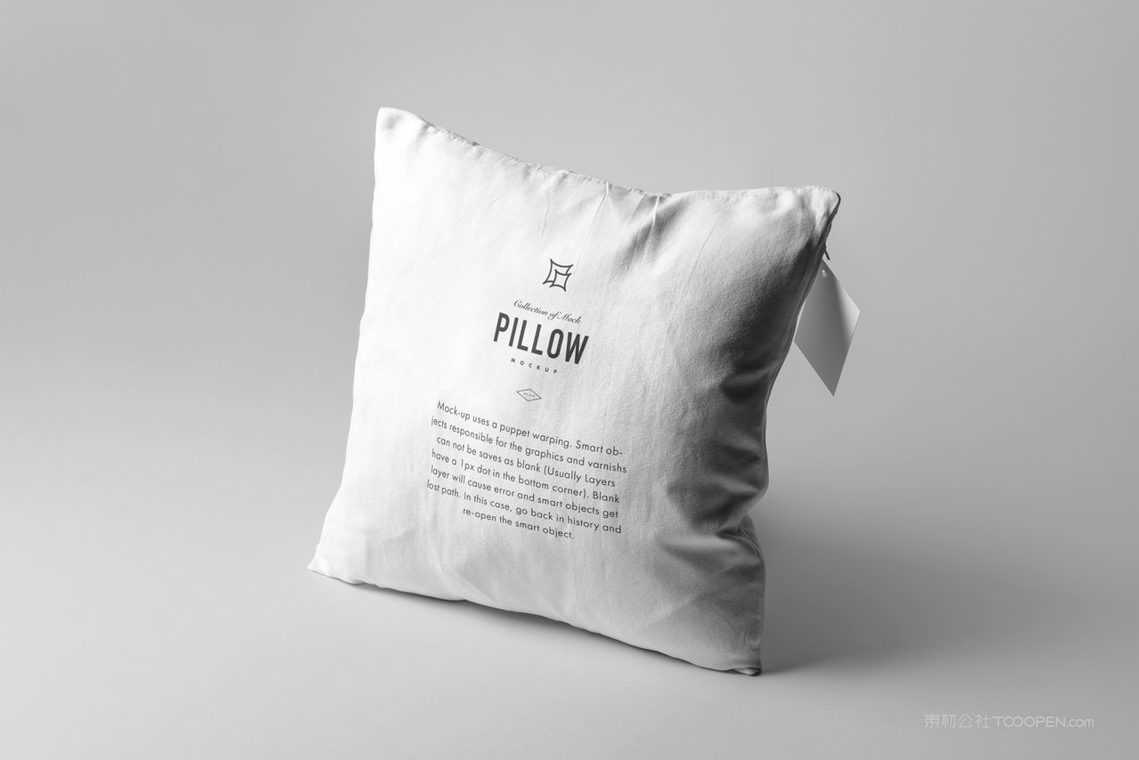 【2056期】抱枕设计展示样机 (1)