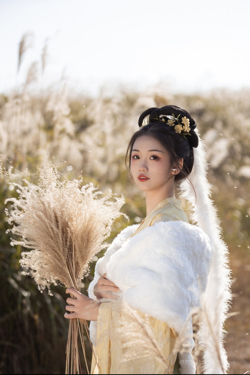 高贵优雅的古装美女主播艺术写真图片