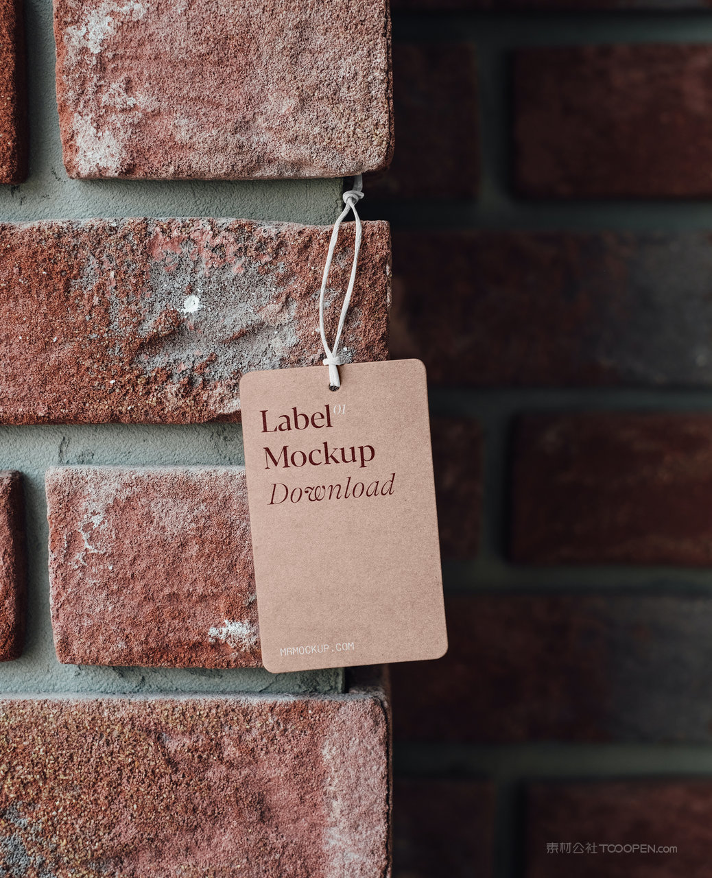 红砖墙模型上的标签吊牌样机