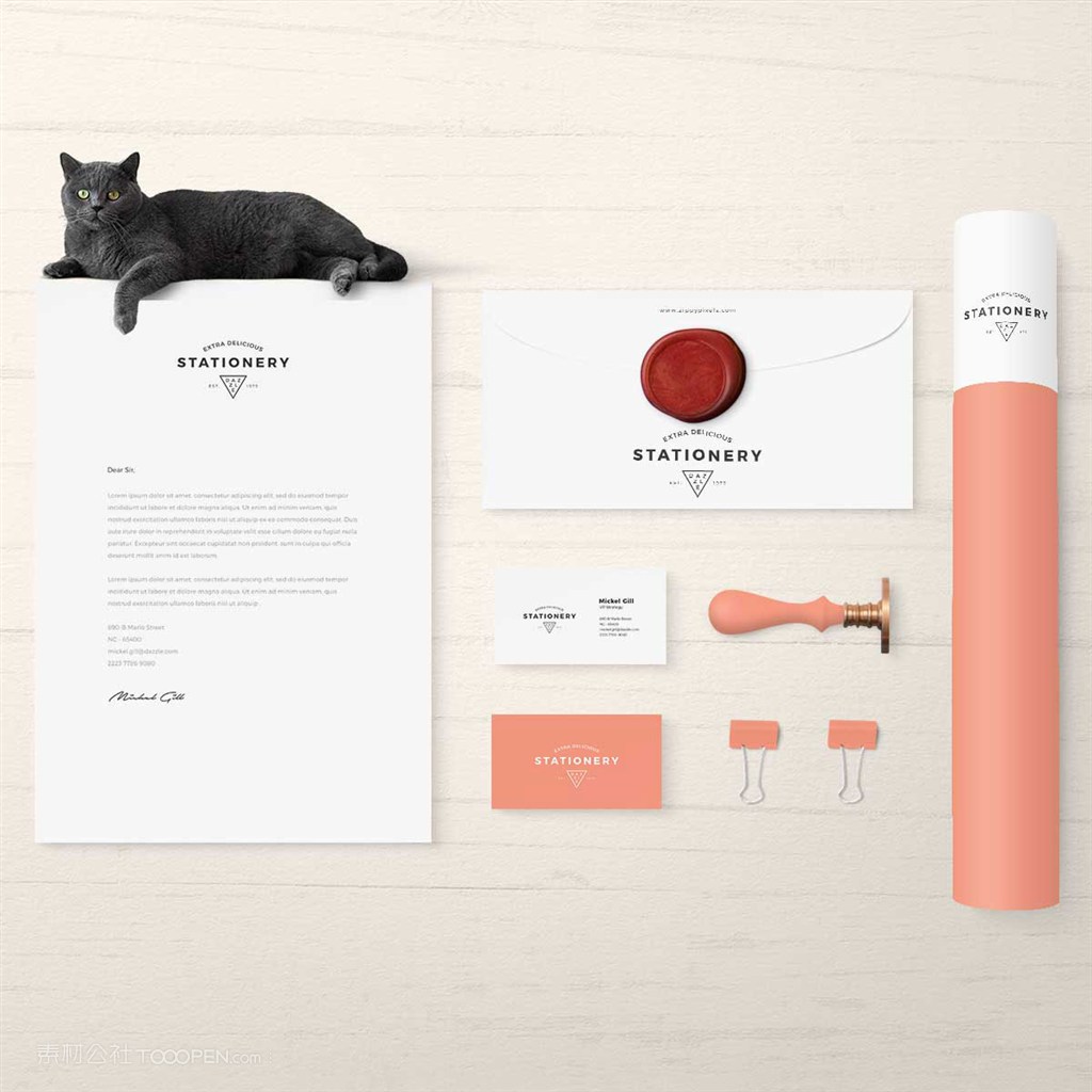 服装品牌vi样机模板素材