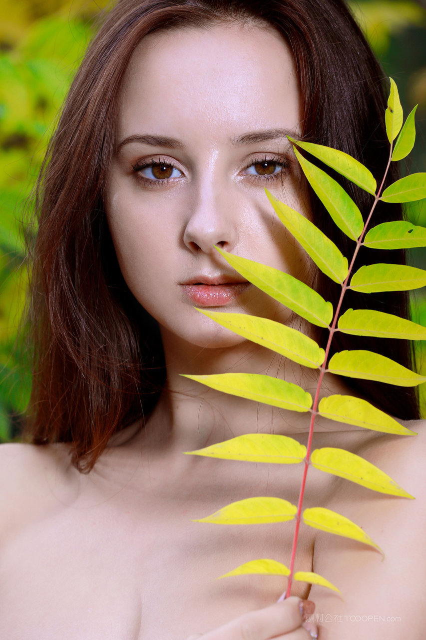 超高清欧美裸体美女极品销魂图库在线下载