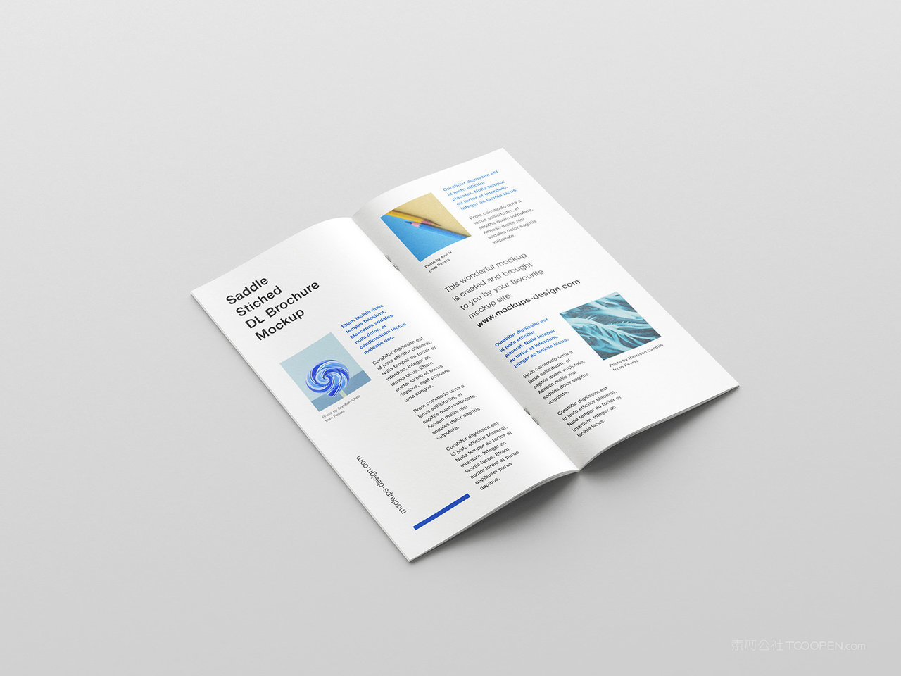 简约双折页样机效果图四