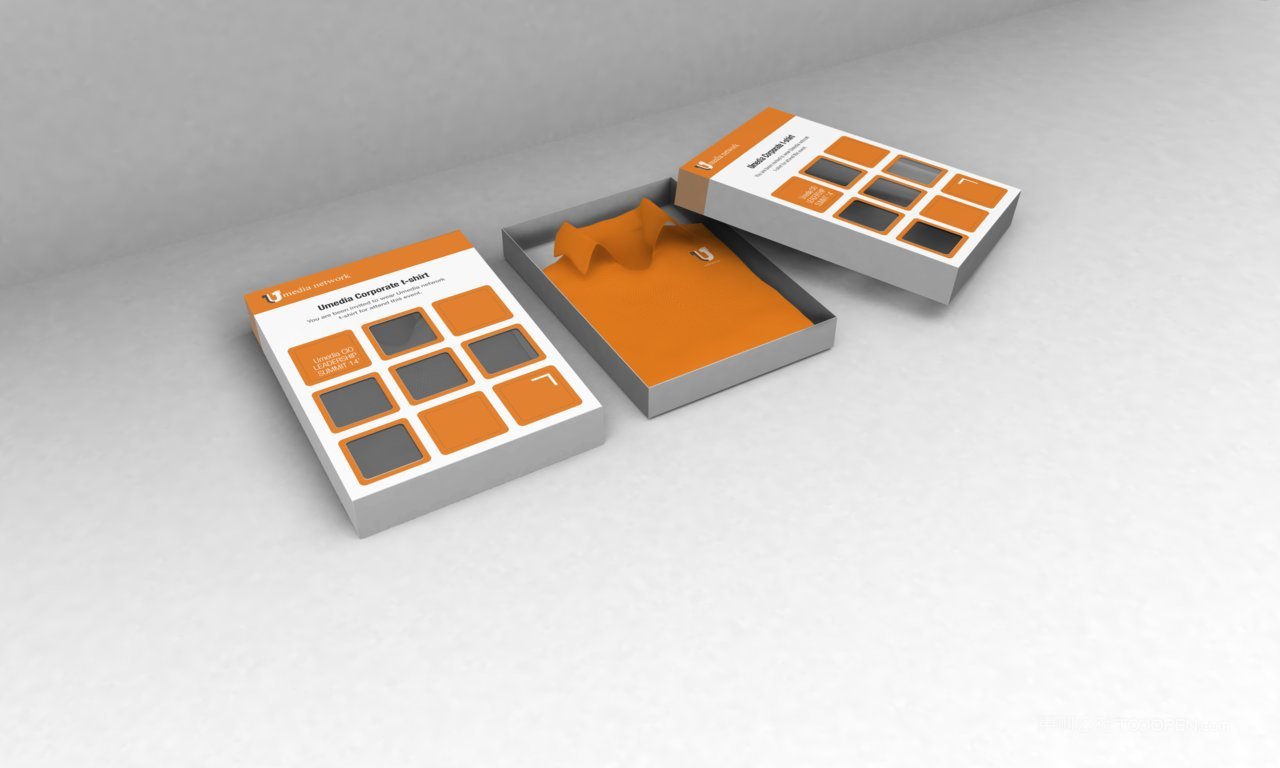 【1985期】企业办公vi样机 (13)