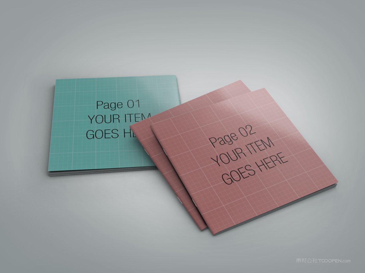 brochure杂志宣传册样机 (1)