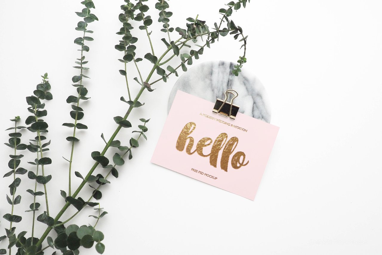 绿色植物环保化妆品公司名片样机