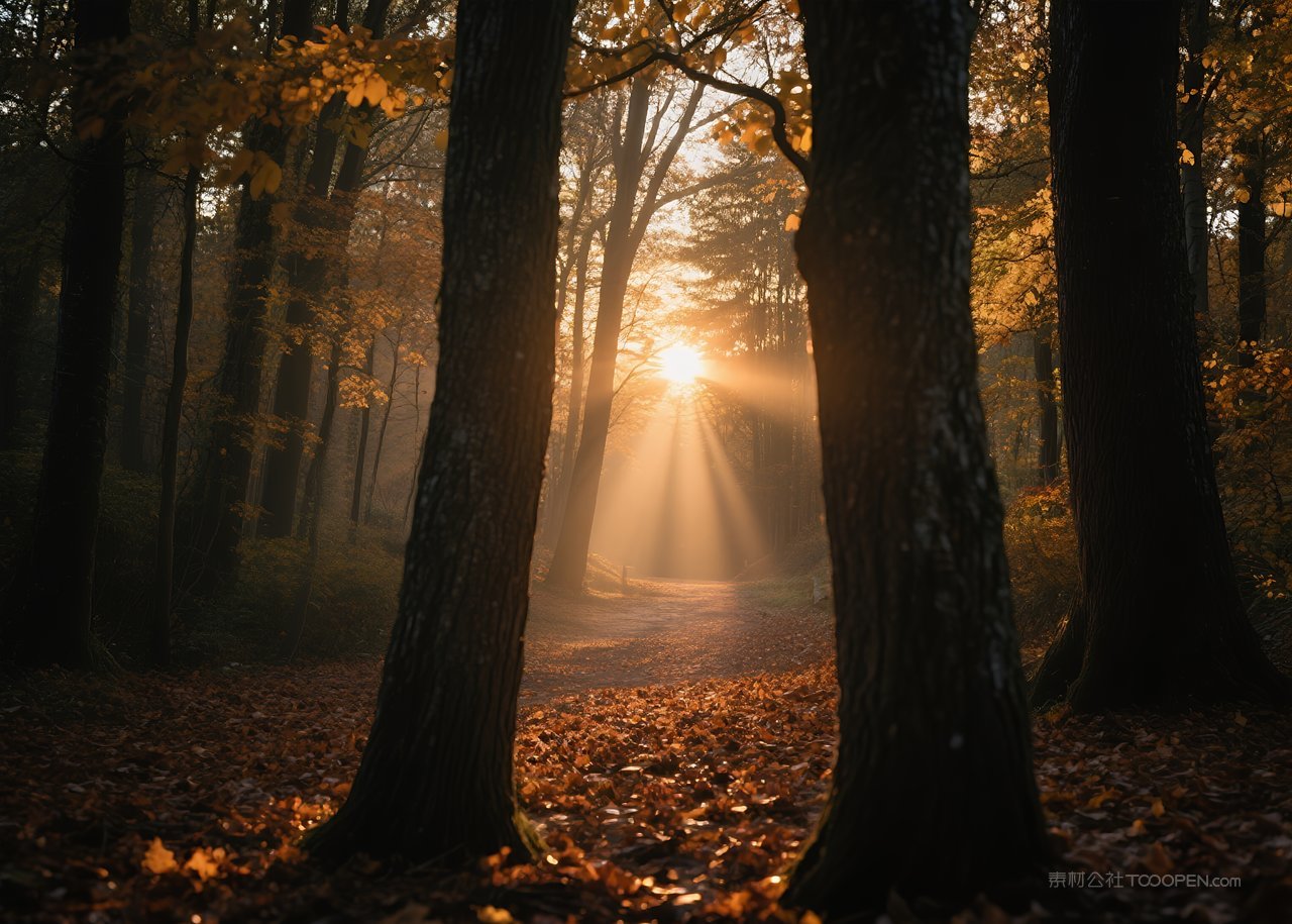 云层风景自然天空落日云彩日落唯美