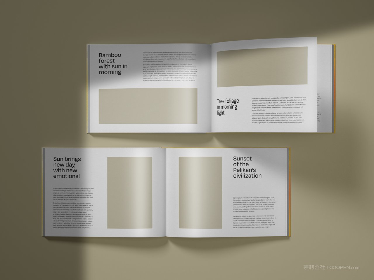 精装硬壳横版书籍画册宣传册封面设计效果图智能贴图样机 (5)