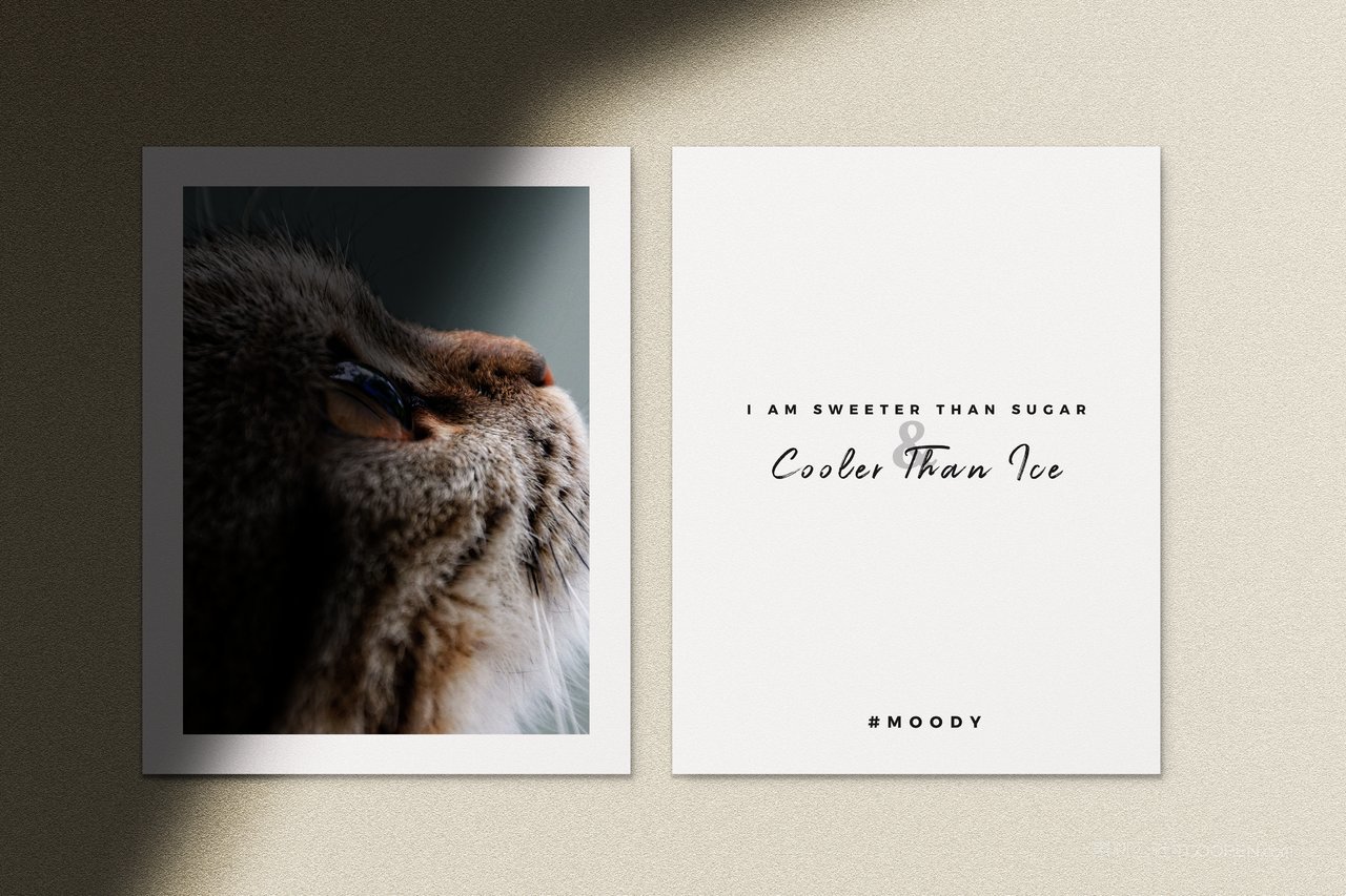 复古文艺光影海报样机 (18)