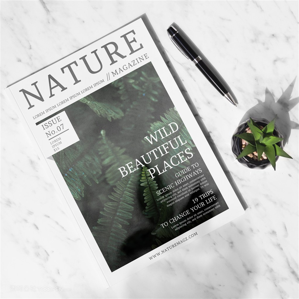 多肉植物旁边的自然杂志样机