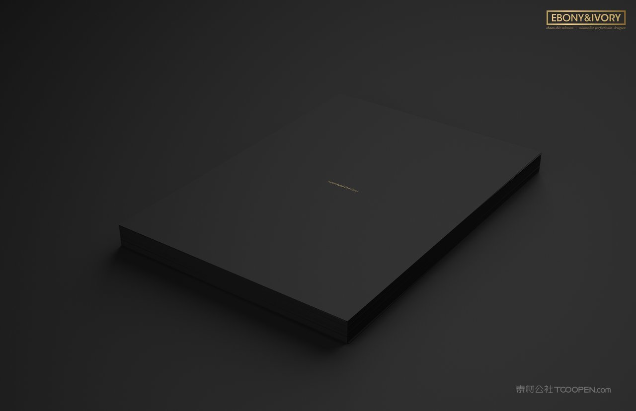 黑色质感企业vi样机贴图 (2)