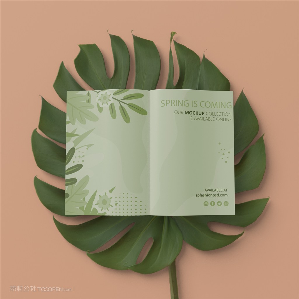 在绿色树叶上的卡片折页贴图样机