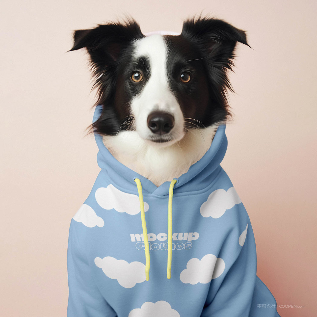 潮流狗狗服饰贴图样机