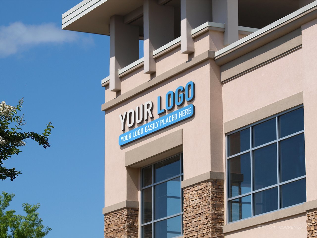 学校墙体楼体通用logo标志样机 (5)