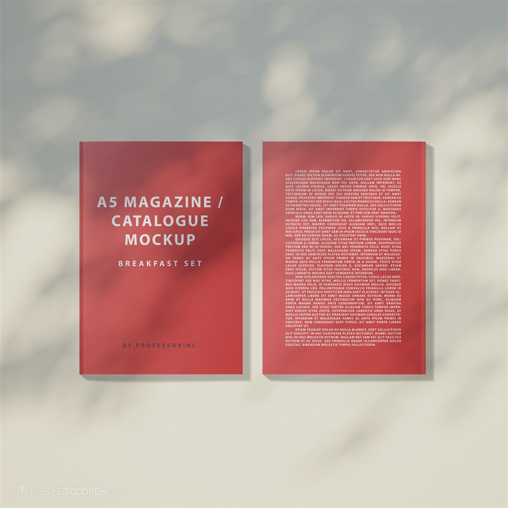 光影效果下的红色产品画册目录贴图样机