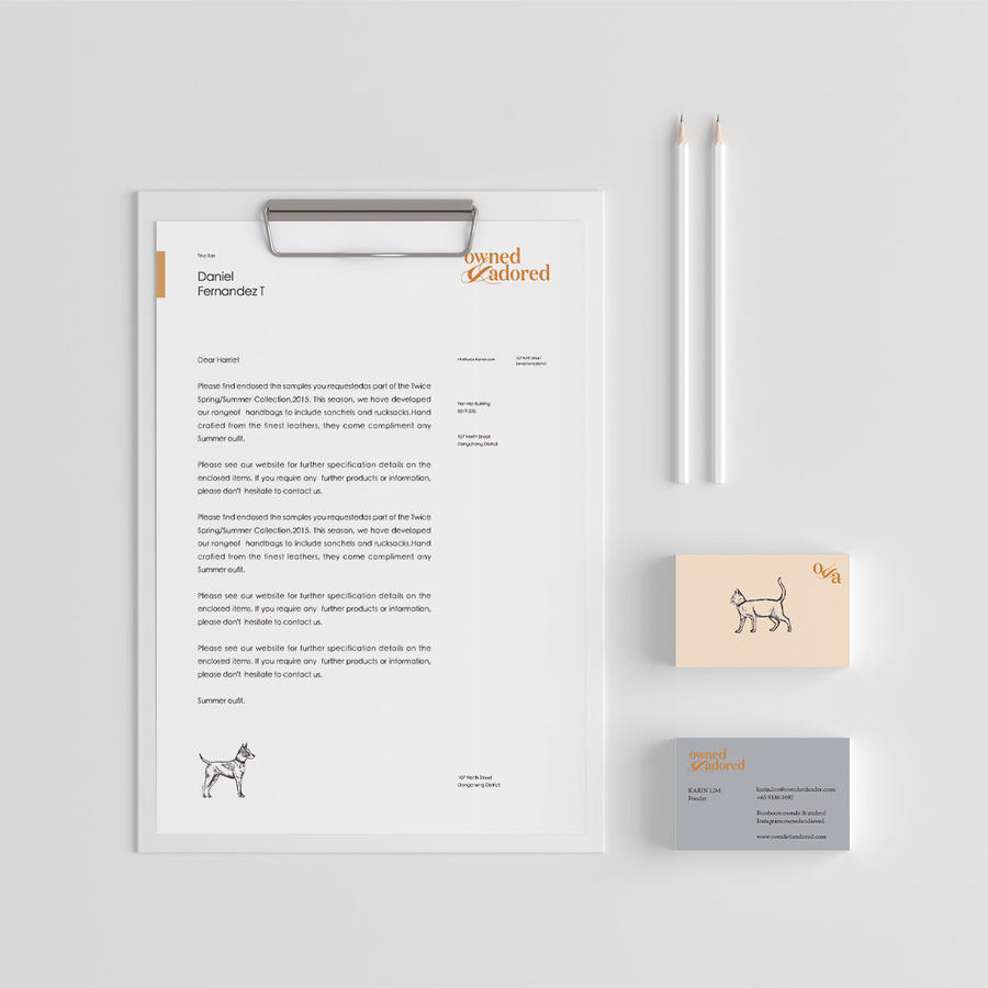 宠物店vi样机模版