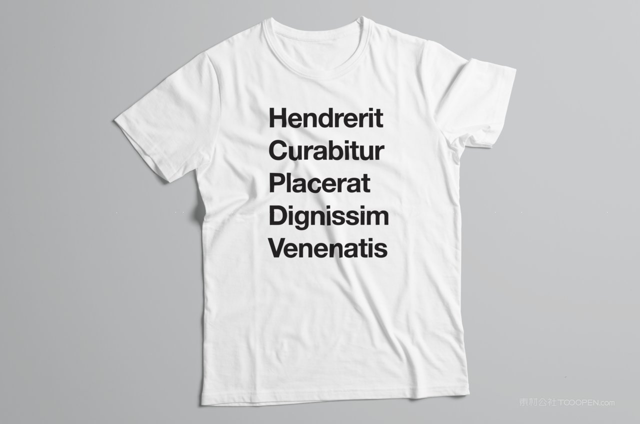 t-shirt企业t恤品牌vi系统样机 (15)