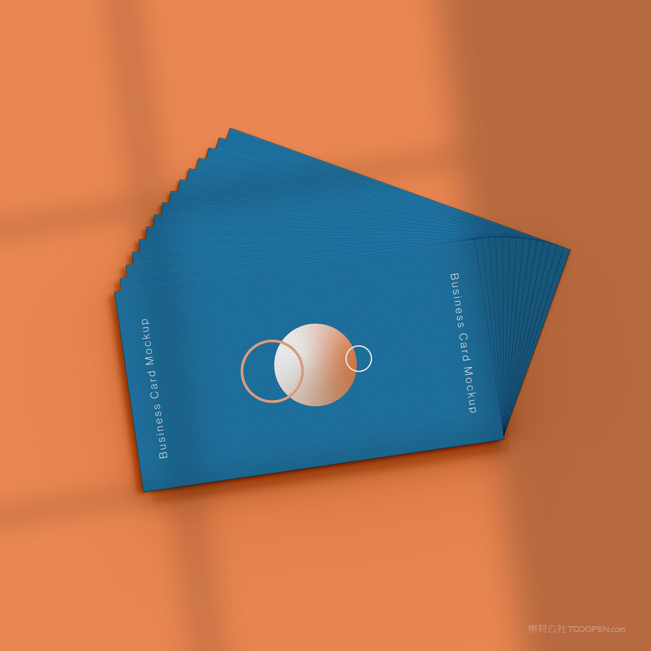 光影效果蓝色名片贴图样机