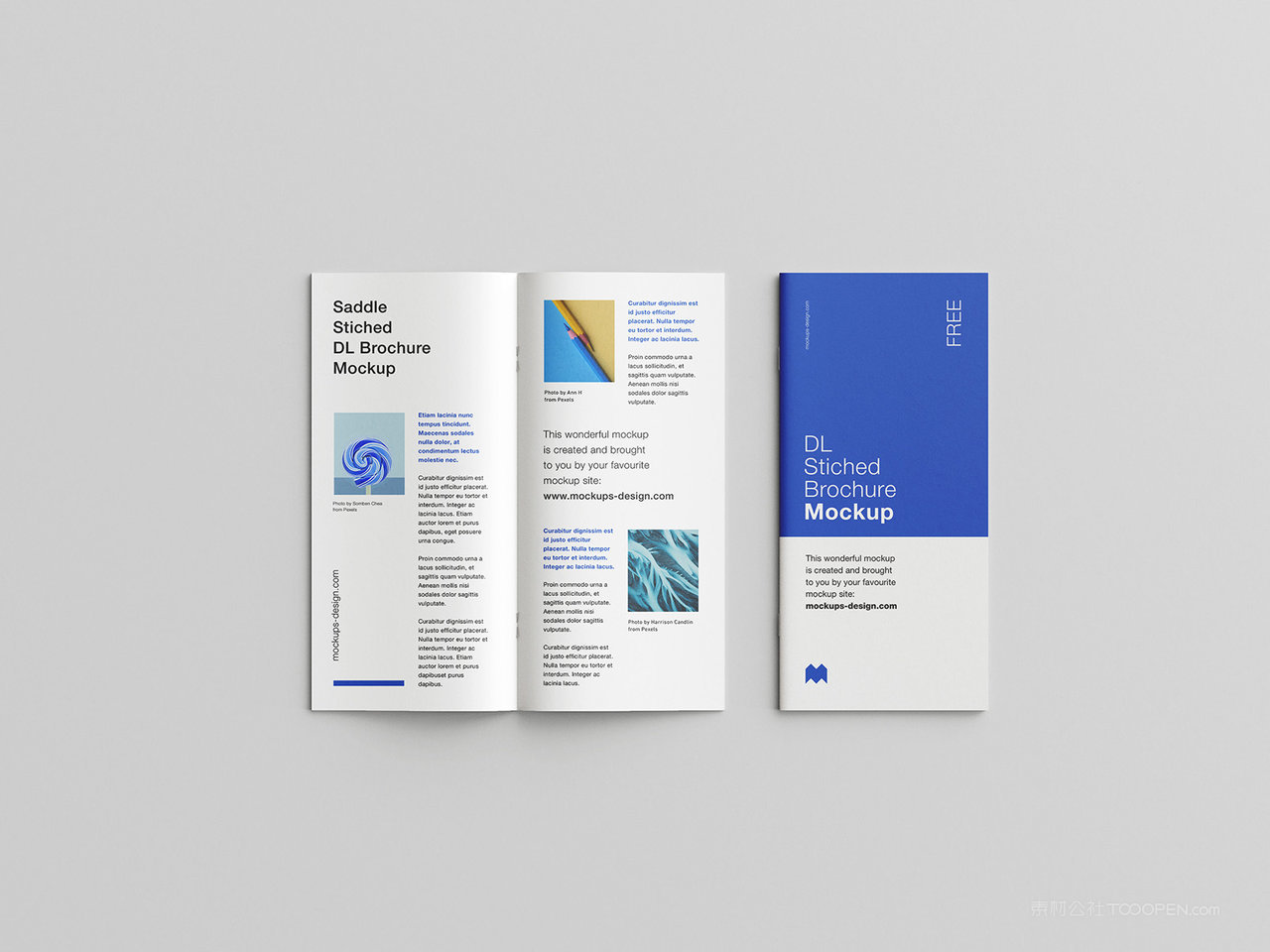 简约整洁的双折页样机素材一