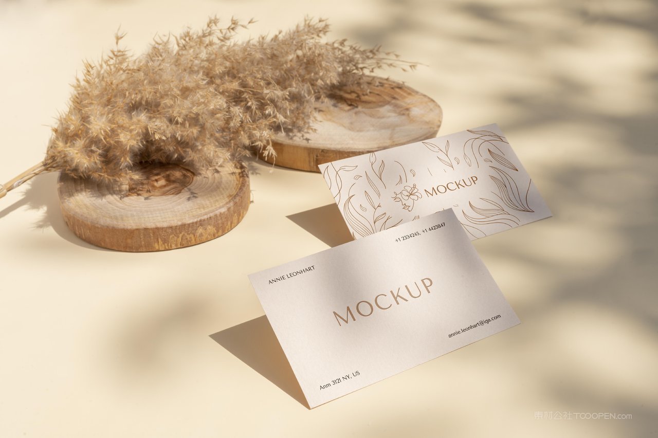 文艺植物两张名片光影场景样机