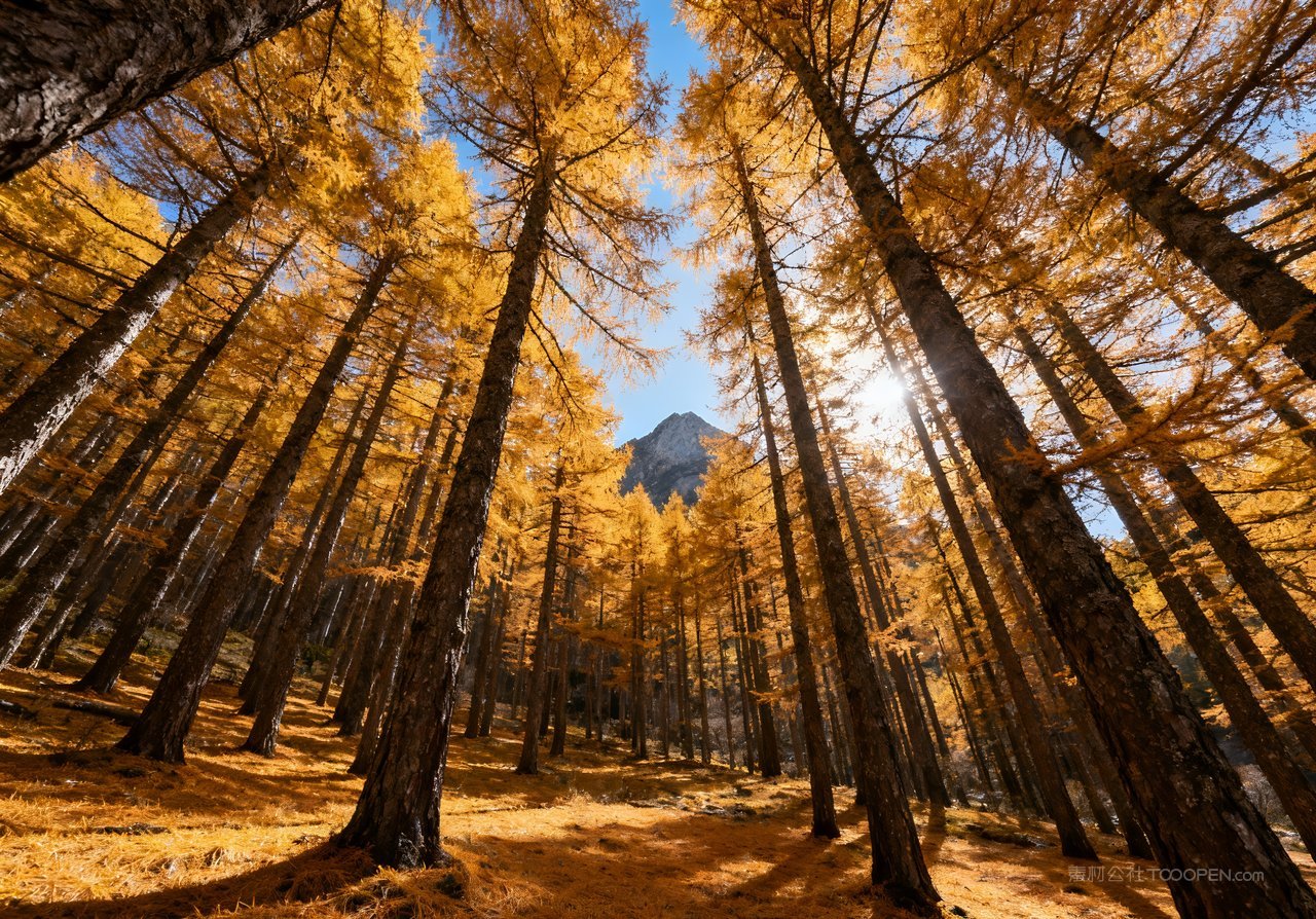 青山湖泊唯美意境天空山水秋季山峰