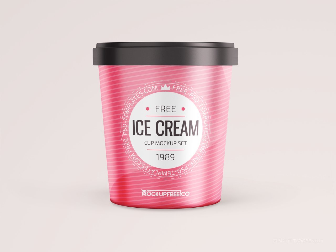 冰淇淋食品包装样机 (4)