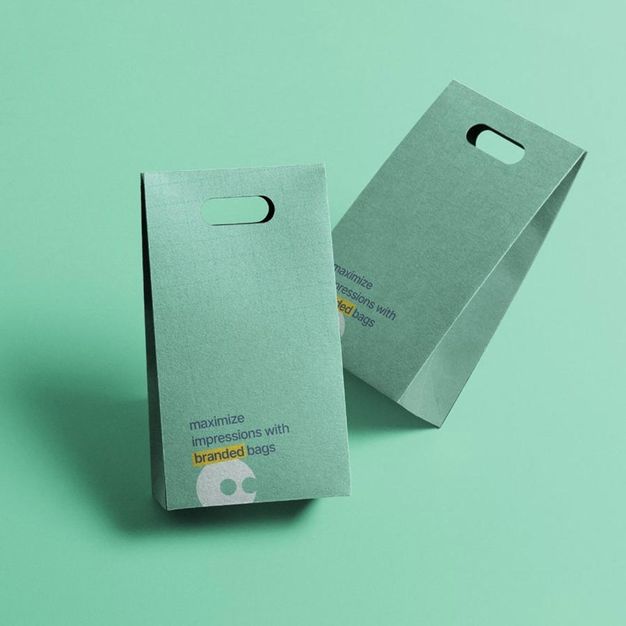 立式纸袋设计样机