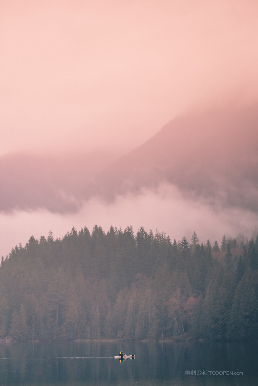 迷雾树林风景画图片