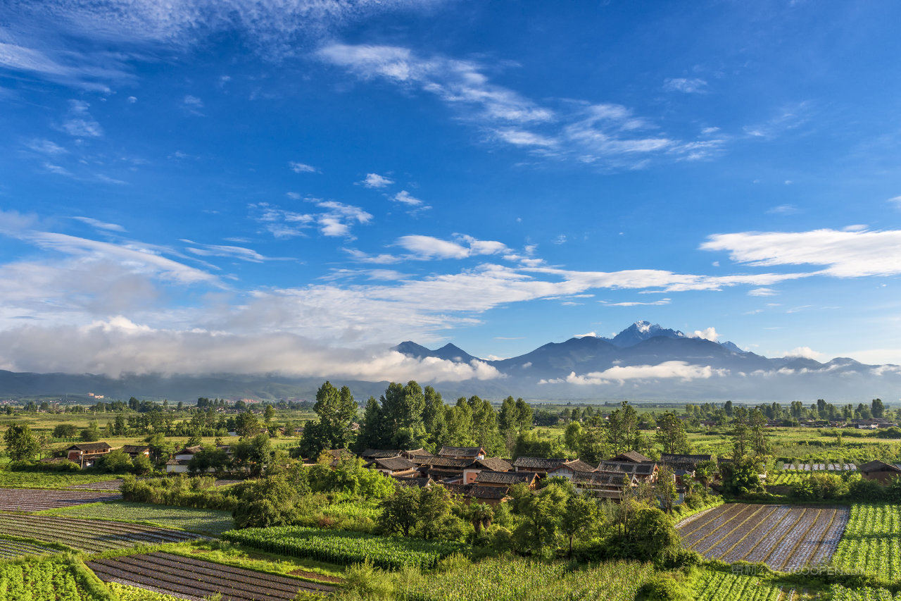 远望玉龙雪山风景画