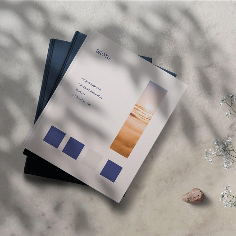 时尚创意上的ins风书籍样机