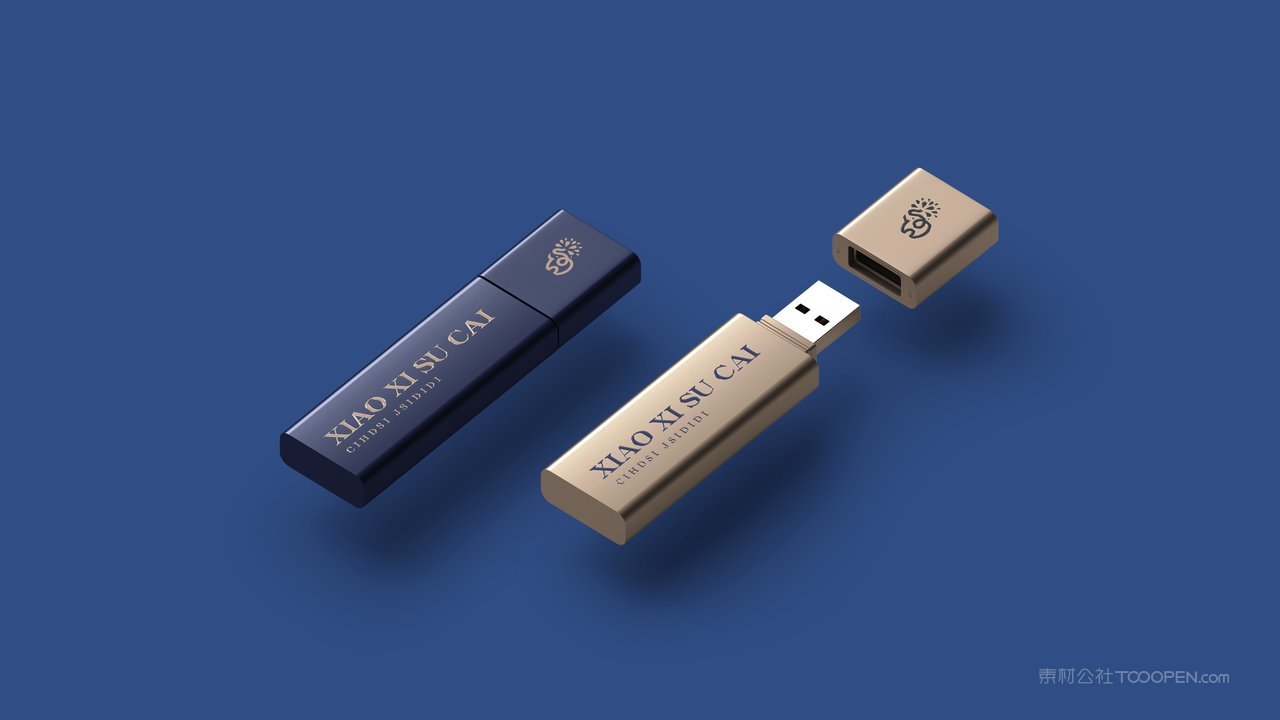 蓝色u盘品牌vi展示贴图一键样机