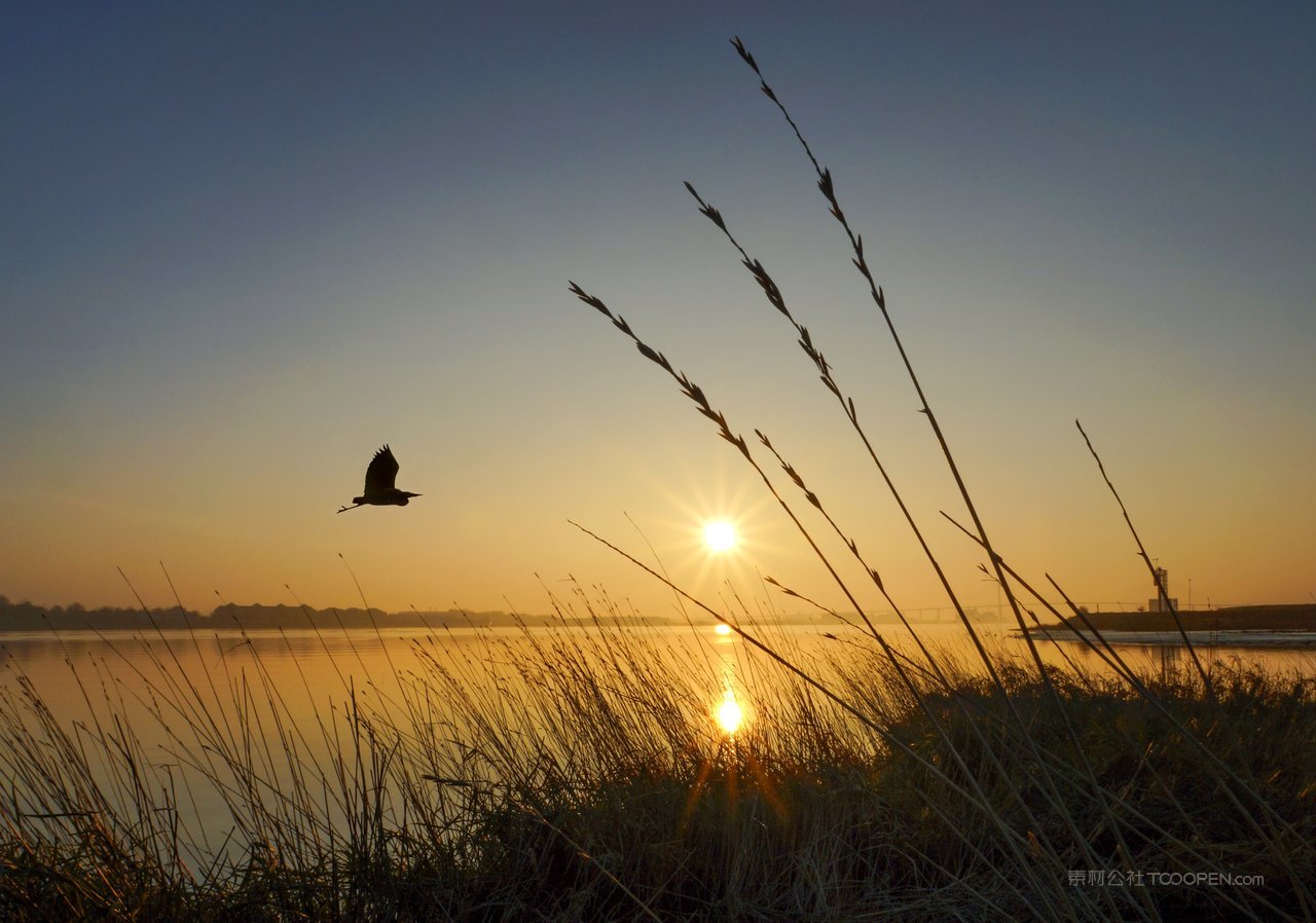 芦苇丛湖泊黄昏风景画图片