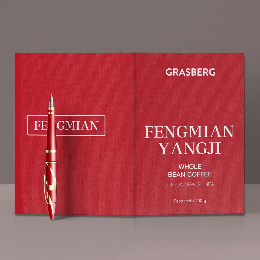 红色高端品牌设计vi手册应用书本样机