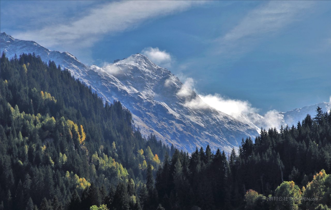 松树山脉高清风景画图片
